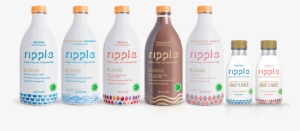 Ripple Foods Raises $65 Million In Funding In A Victory - Pea Milk #561365