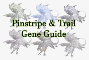 This Guide Is A Showcase Of The Pinstripe And Trail - Portable Network Graphics #561993