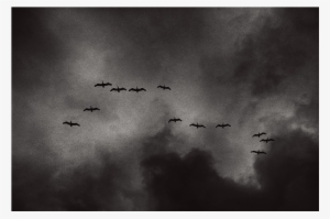 When The Bookkeeper Asked The Old Man A Question About - Monochrome #562590