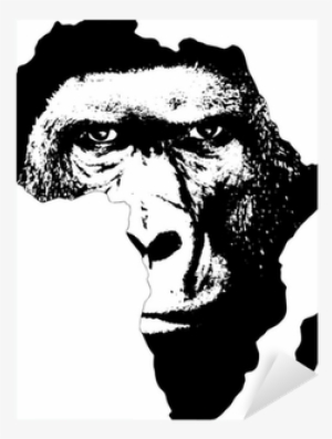 African Union #563861