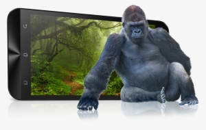 Stunningly Strong, Gorilla Strong - Asus Gorilla Glass 4 #564009