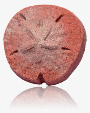 Sand Dollar - Chocolate Cake #564182