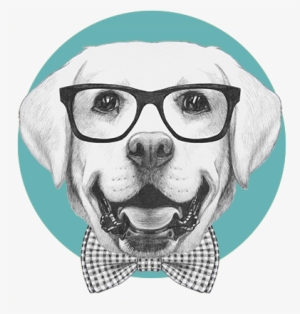Groom Service Dogs Regina - Pets With Glasses Png #564276