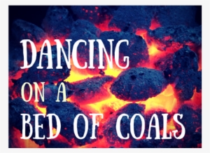 Hot Coals And Angry Lions - Poster #564429