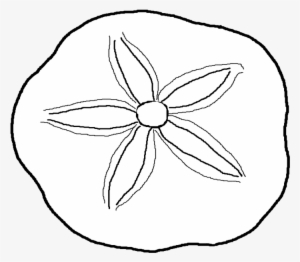 Clip Stock Dollar Coloring Pages Page - Sand Dollar Coloring Pages #564431