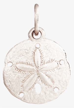 14k White Gold Sand Dollar Mini Charm #564455