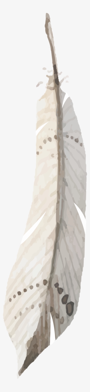 1 - Posterazzi Feather On Black 2 Poster Print #564808