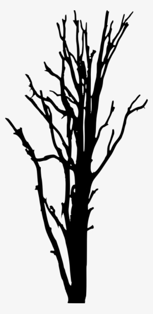 Png File Size - Portable Network Graphics #564997