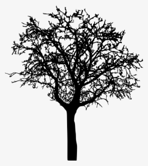 Png File Size #564998 Png File Size #564998