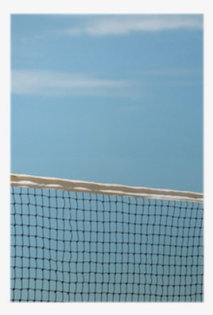 Net #565003