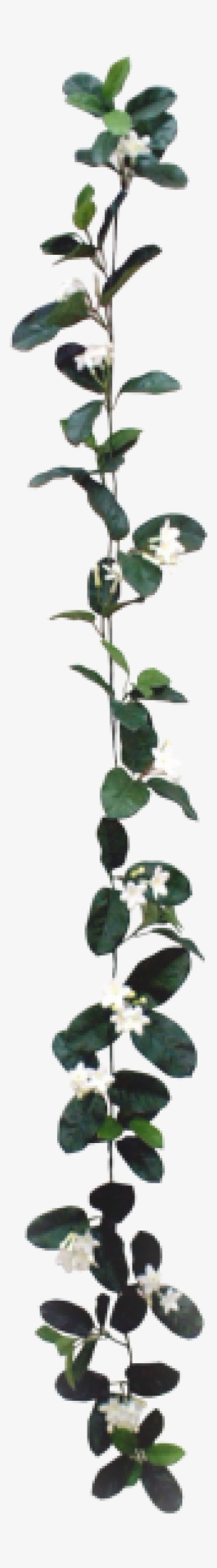 White Flower Garland Png - Flower #565329