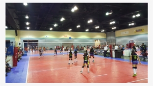 Dynamite Volleyball Club Tampa #565355