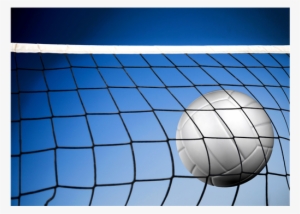 Dyc Volleyball - Instructivo Pedagógico Del Voleibol En La Educación #565379