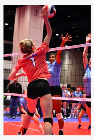 18 Royal - Volleyball #565428 18 Royal - Volleyball #565428