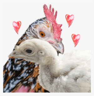 Be A Fierce Millie - Child #565796 Be A Fierce Millie - Child #565796