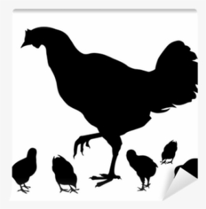 Roster Black & White #565800