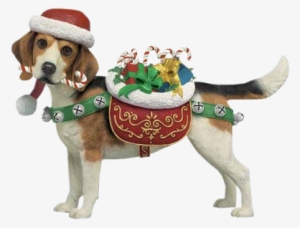 Karat6959 - Dog #565976