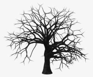 Branch Drawing Tree Trunk - Seca Arvore Preto E Branco #566159