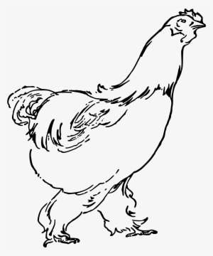 Free Png Hen - Hen Drawing Png #566187