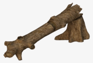 Fallen Tree Trunk - Wood #566701