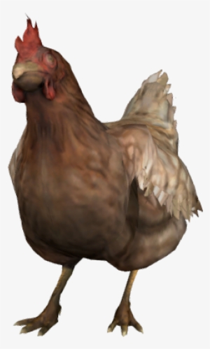White Hen Png Image - Counter Strike Chicken Png #566768