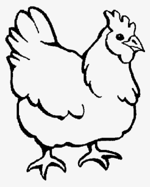 Coloring Picture Of Chicken #566797