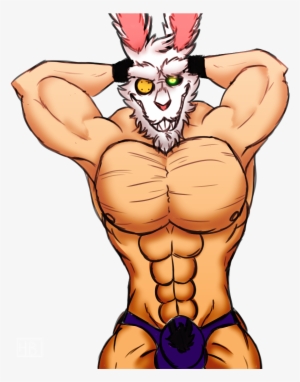 Author Comments - Rabbit #567047