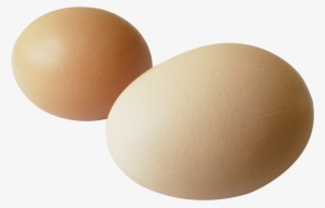 Hen Png #567181