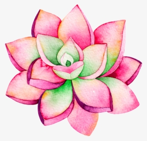 This Backgrounds Is Pink Fashion Lotus Cartoon Transparent - Succulents Free Clip Arts #567551