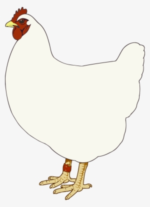 This Free Icons Png Design Of Hen 3 #567696