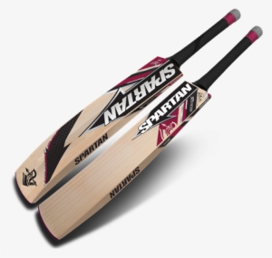 Sir - David Warner Spartan Cricket Bat #569483