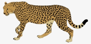 Cheetah Clipart - Clipart Image Of Cheetah - Free Transparent PNG ...