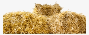 Top Of Straw Bales - Bale Of Hay Png #569763