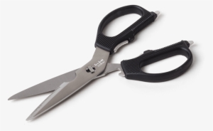 America's Test Kitchen Scissors #569766