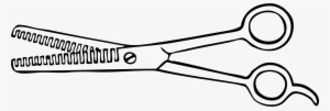 This Free Icons Png Design Of Two Blade Thinning Shears #569970