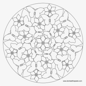 Butterfly And Spring Flower Flower Mandala Picture - Su Kabağı Desenleri Çizimi #569971