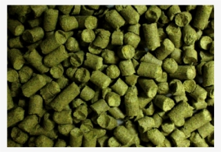 Hops #5600871