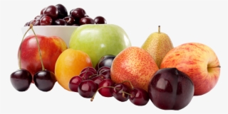 Vector Free Download Bringing Fresh To You Oneonta - Private Company Limited By Shares #5601769