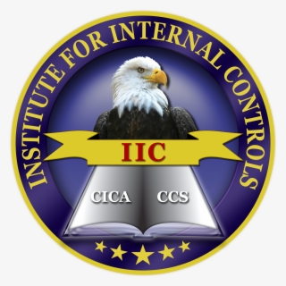 Certified Internal Controls Auditor #5601954