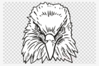 Eagle Head Front Drawing Clipart Bald Eagle Clip Art - Wrigley Field #5602108