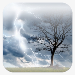 Tree Storm Journal: Blank 200 Page Journal [book] #5604298
