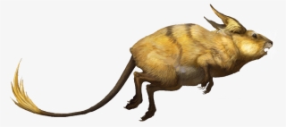 Raichu Rj - Raichu Maschio E Femmina #5606090 Raichu Rj - Raichu Maschio E Femmina #5606090