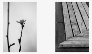 Картина12 Картина13 Картина14 Картина15 Картина16 - Monochrome #5606551