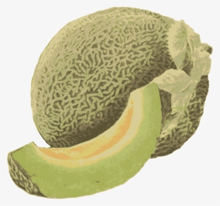 Honeydew Melon - Honeydew #5606678