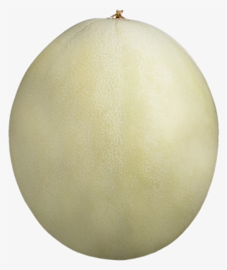 Sweet Honeydew Melon 1ch - Passion Fruit #5606872