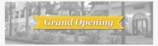 Grand Opening Parking Services St Petersburg, Fl #5608682