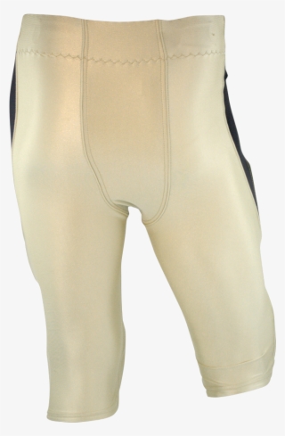 Raptor - American Football #5611443