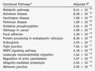 Enriched Functional Pathways Mapping To Differentially - Thp-1 Cell Line #5613748
