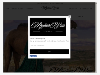 Website History - Ivory #5614648