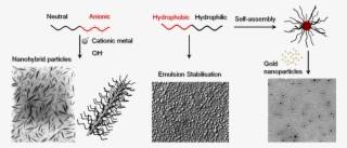 We Propose Various Strategies For The Preparation Of - Shortstraw Pine #5615089